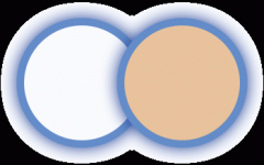 牵头对生的质量问题